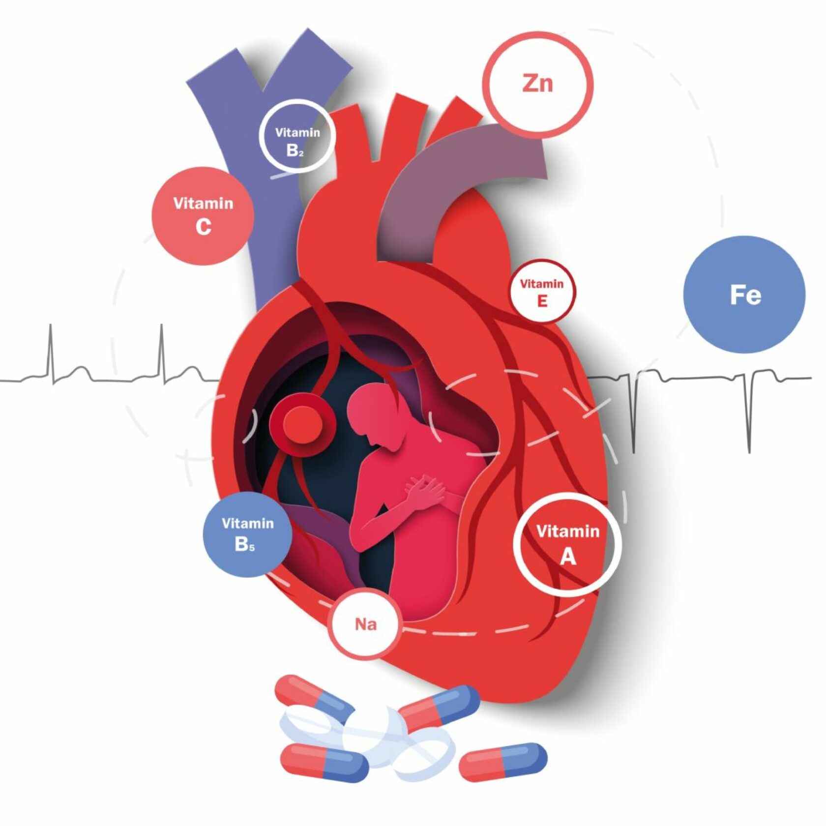 Illustration von einem Herz mit Benennung verschiedener Vitamine und Spurenelemente. Kapseln und Tabletten liegen davor. 