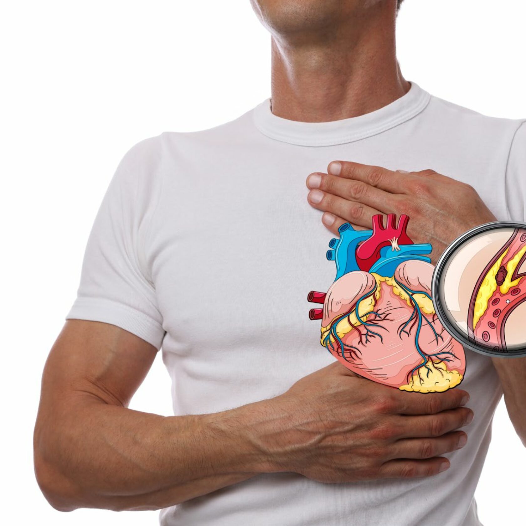 Herzgefäße vor männlicher Brust in Detaildarstellung