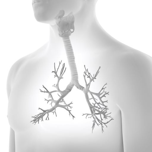 COPD-Stand-der-Forschung-AdobeStock_305654361.jpg