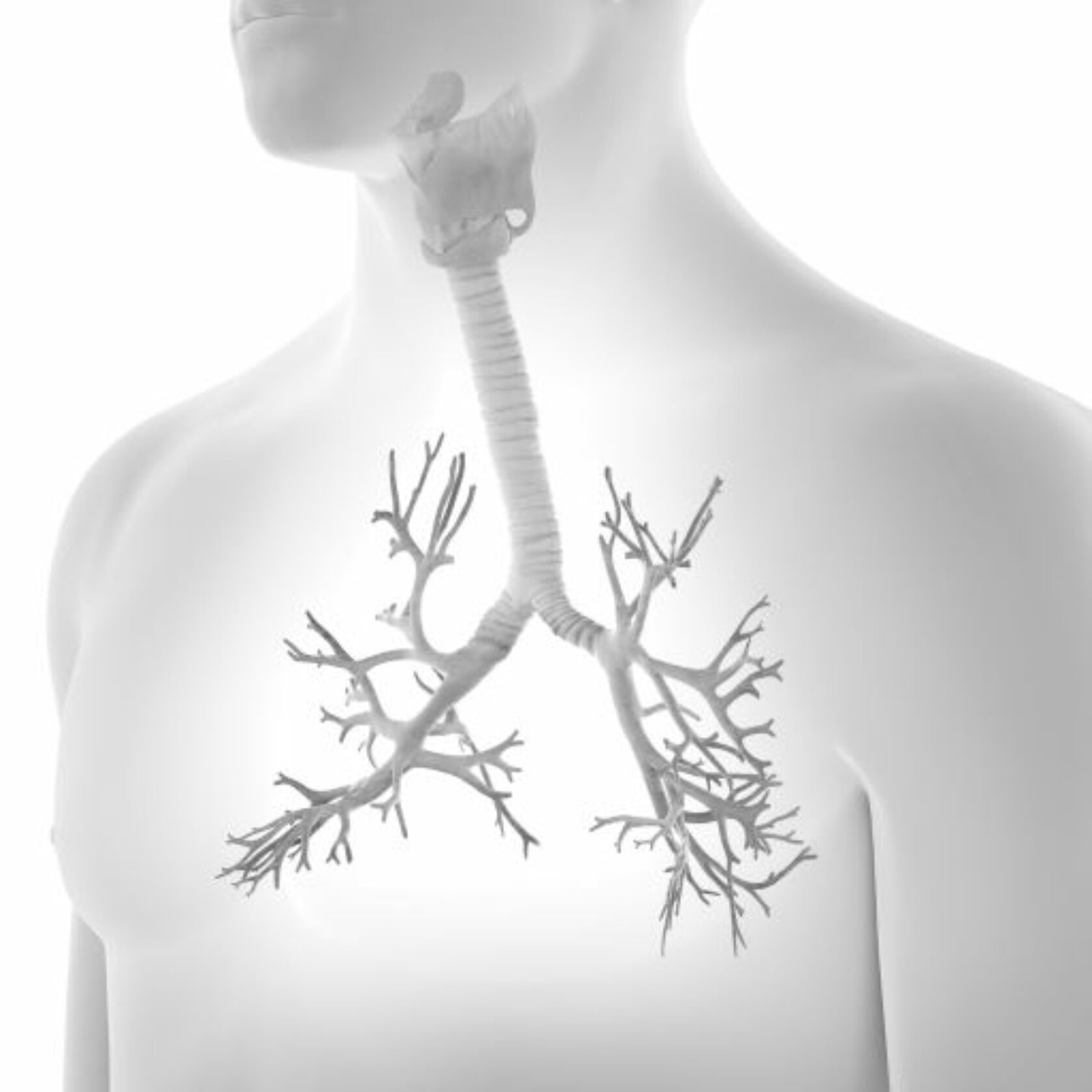 Mensch -COPD