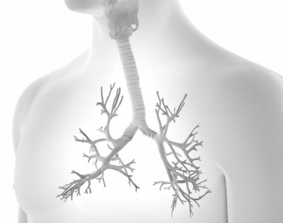 COPD-Stand-der-Forschung-AdobeStock_305654361.jpg