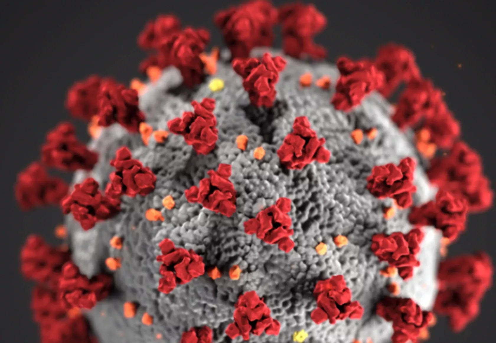 3D-Illustration Coronavirus