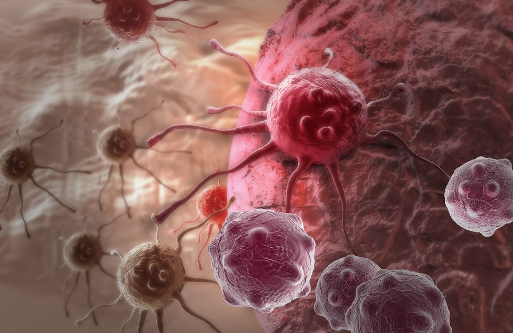 3D-Illustration von Krebszellen