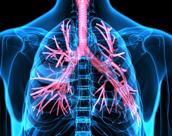 KI-Bild von Luftröhre, Bronchien und Lungenflügeln in fluoreszierenden Farben vor dunklem Hintergrund.