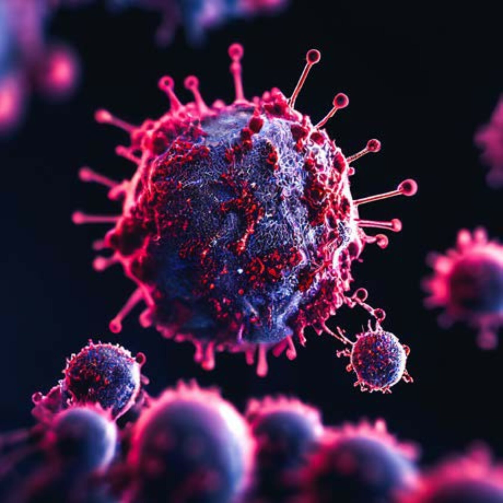 Coronavirus und Immunsystem in Interaktion - Illustration